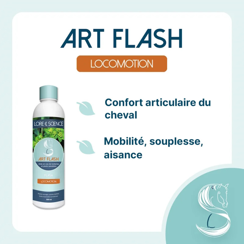Art Flash - Sensitive joints and feet in horses - Lore & Science